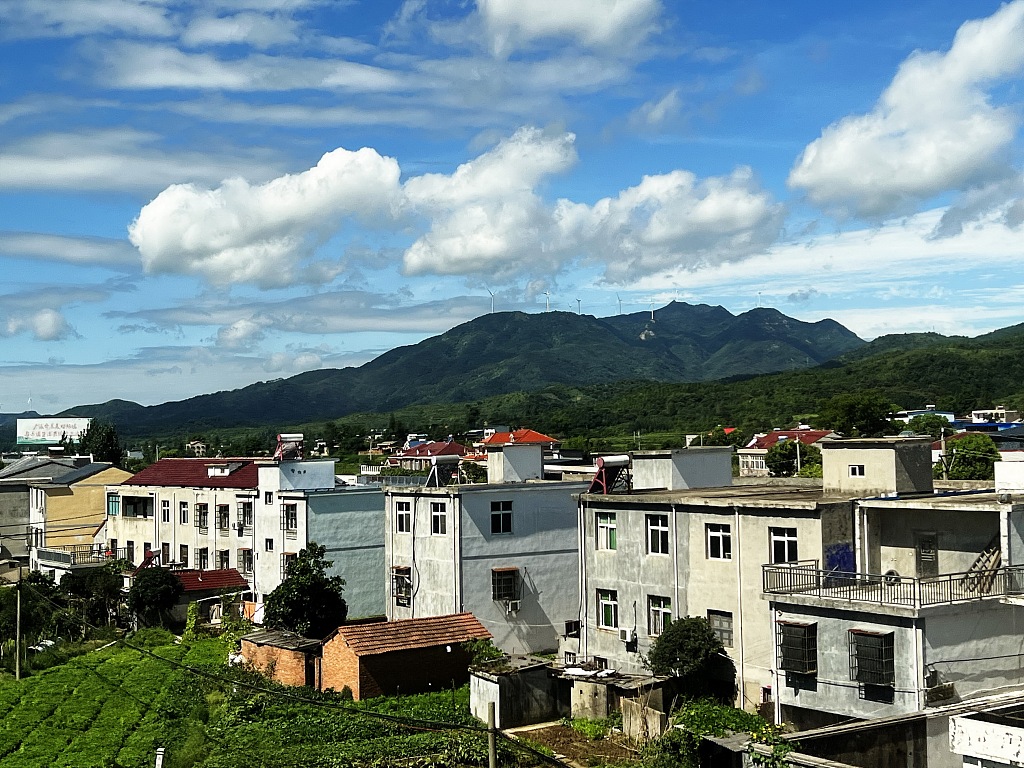 A village in Dawu County, Xiaogan City, central China's Hubei Province, July 29, 2024. /CFP
