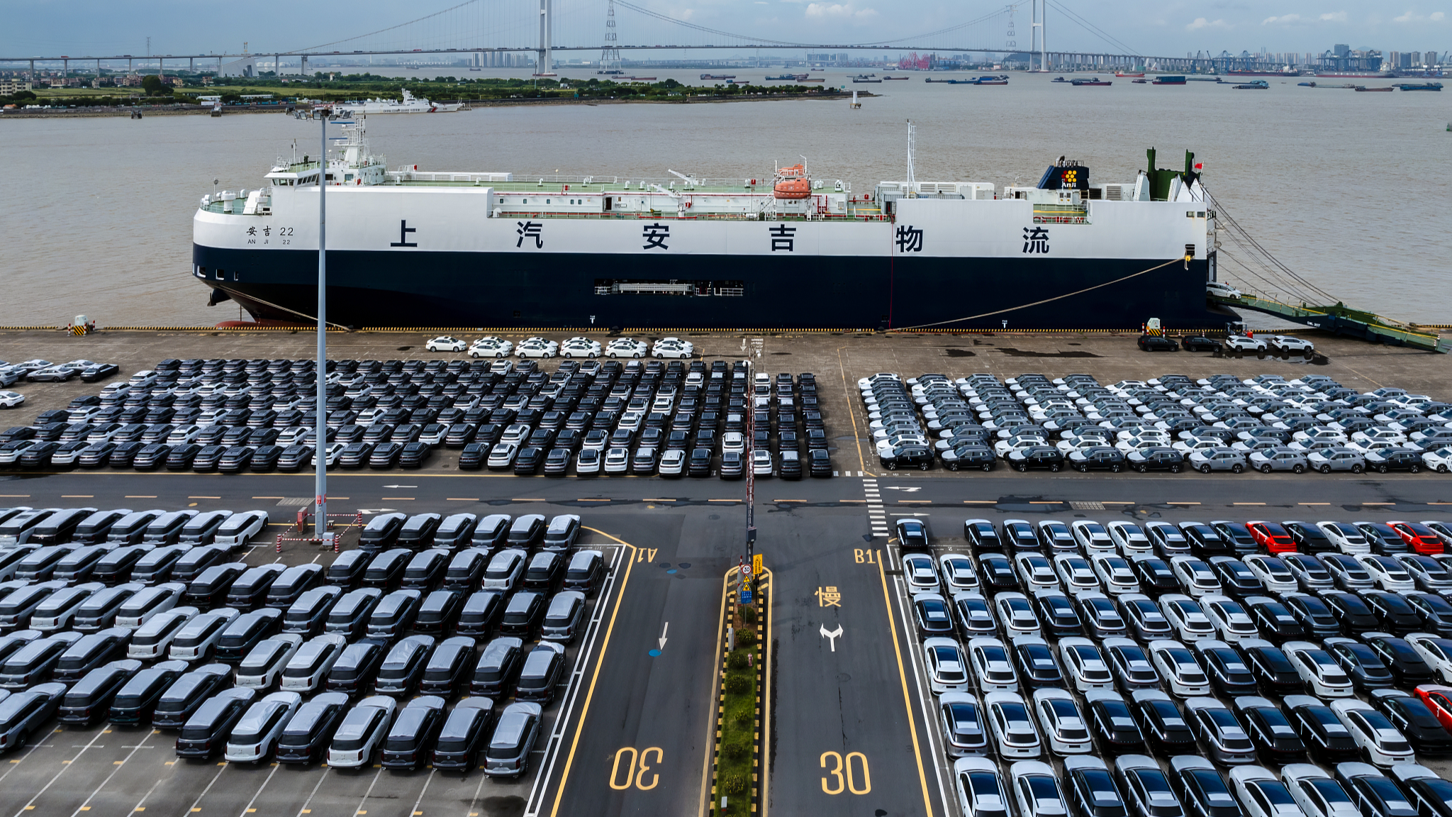 Electric vehicles parked at a port for shipment in Guangzhou City, south China's Guangdong Province, July 2, 2024. /CFP