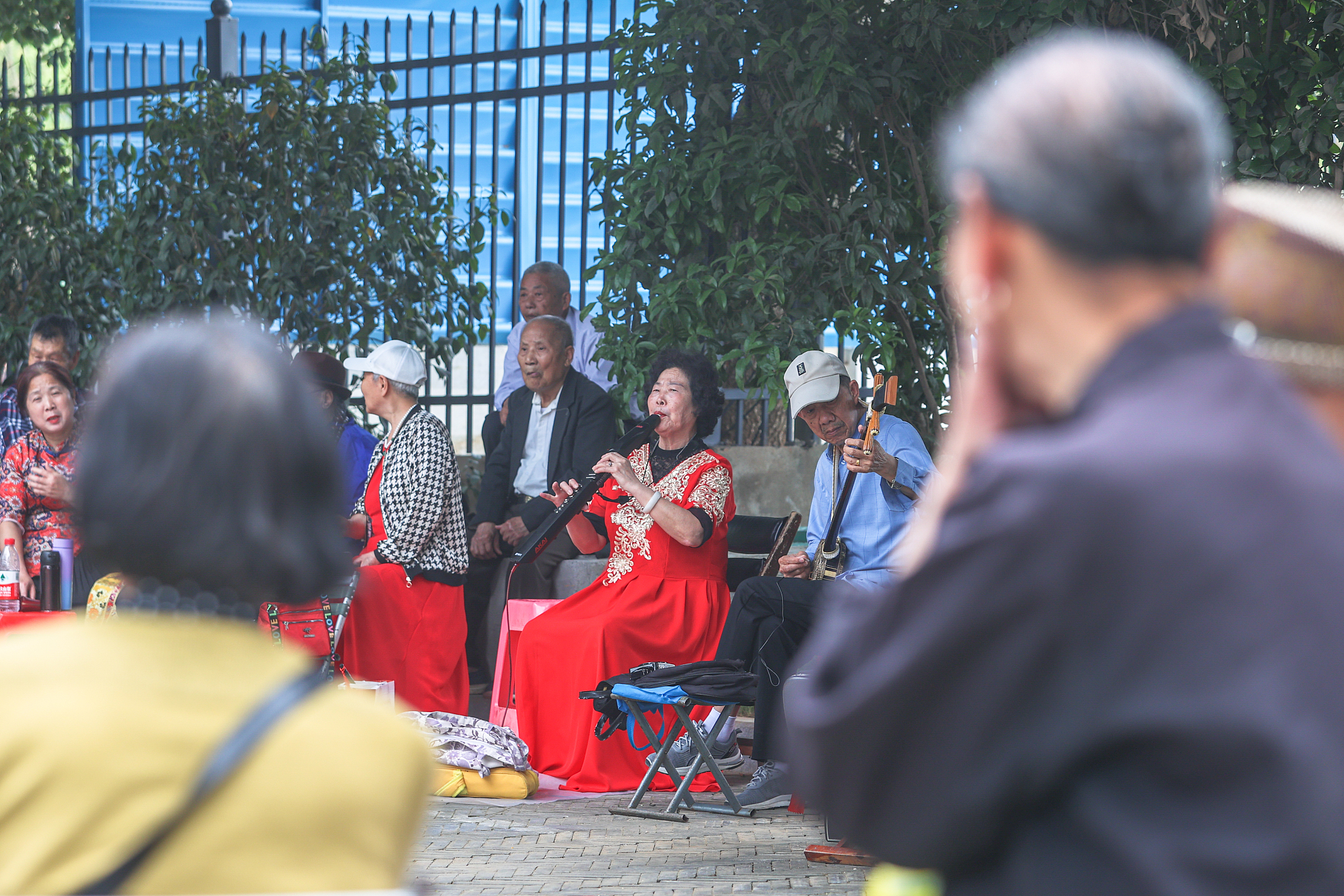 Members of an orchestra perform with their instruments at a park in Nanchang City, east China's Jiangxi Province, May 9, 2024. /CFP
