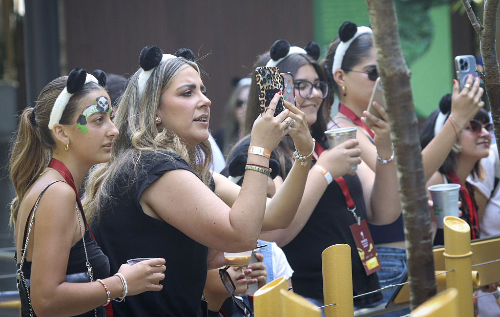 Guests are seen taking photos during a media preview of the new Panda Ridge exhibit at the San Diego Zoo in the United States, August 7, 2024. /CFP