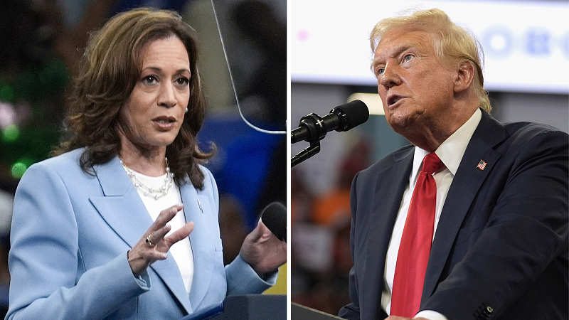 This combination of photos taken at campaign rallies in Atlanta shows U.S. Vice President Kamala Harris (L) on July 30, 2024, and Republican presidential candidate and former U.S. President Donald Trump, August 3, 2024. /CFP