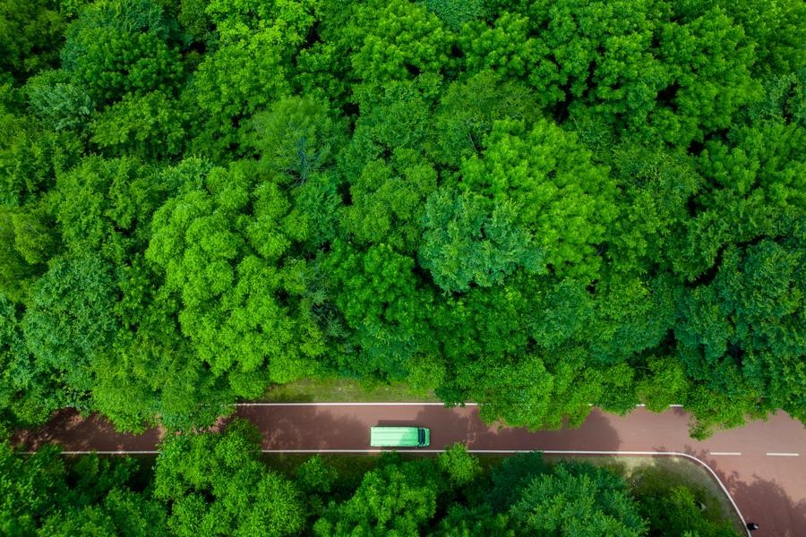 Foto udara yang diambil pada 11 Juli 2024 menunjukkan sebuah kendaraan melaju di taman hutan sungai Shangganling di Yichun, Provinsi Heilongjiang, Tiongkok timur laut. /Xinhua