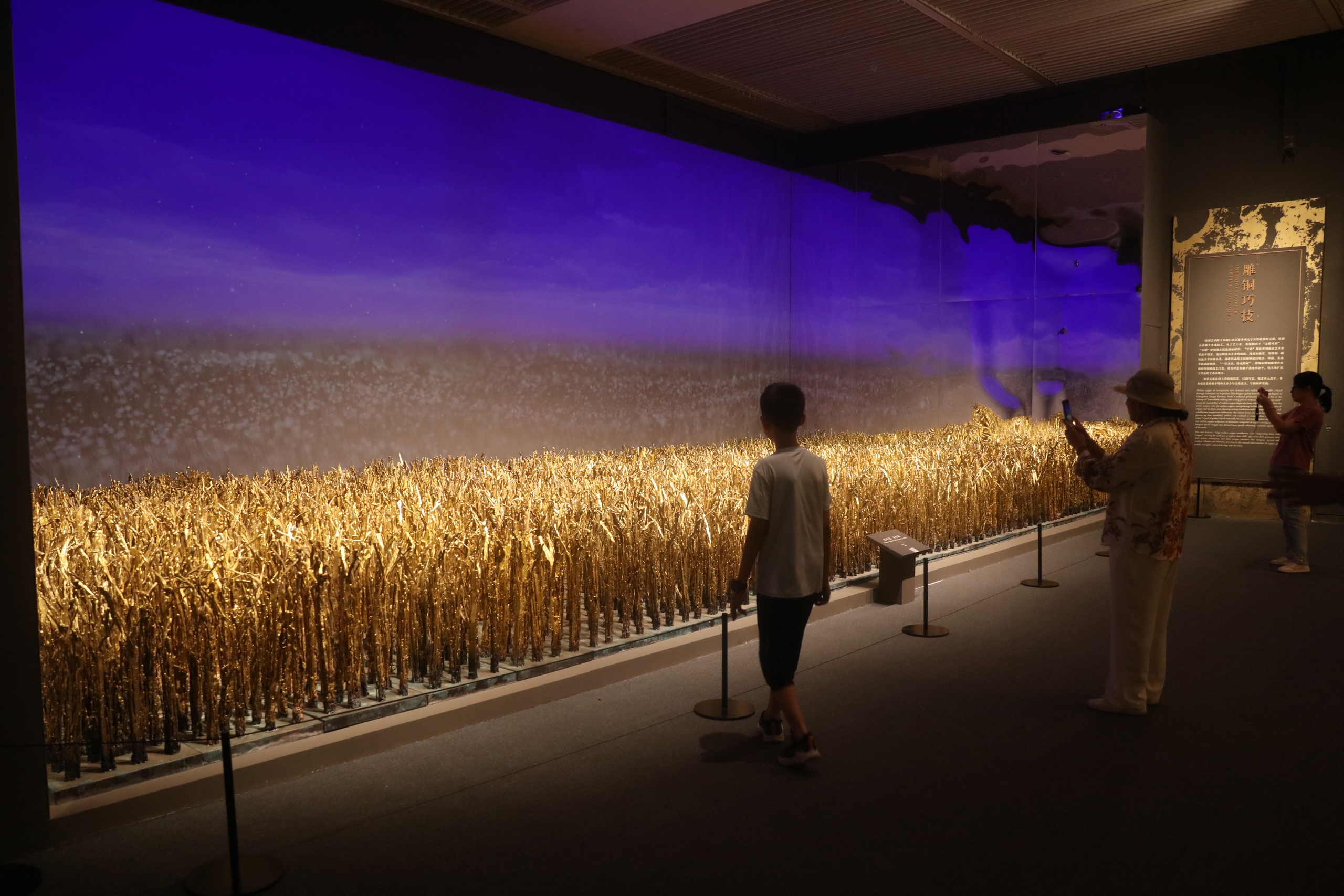 People visit Zhu Bingren's 