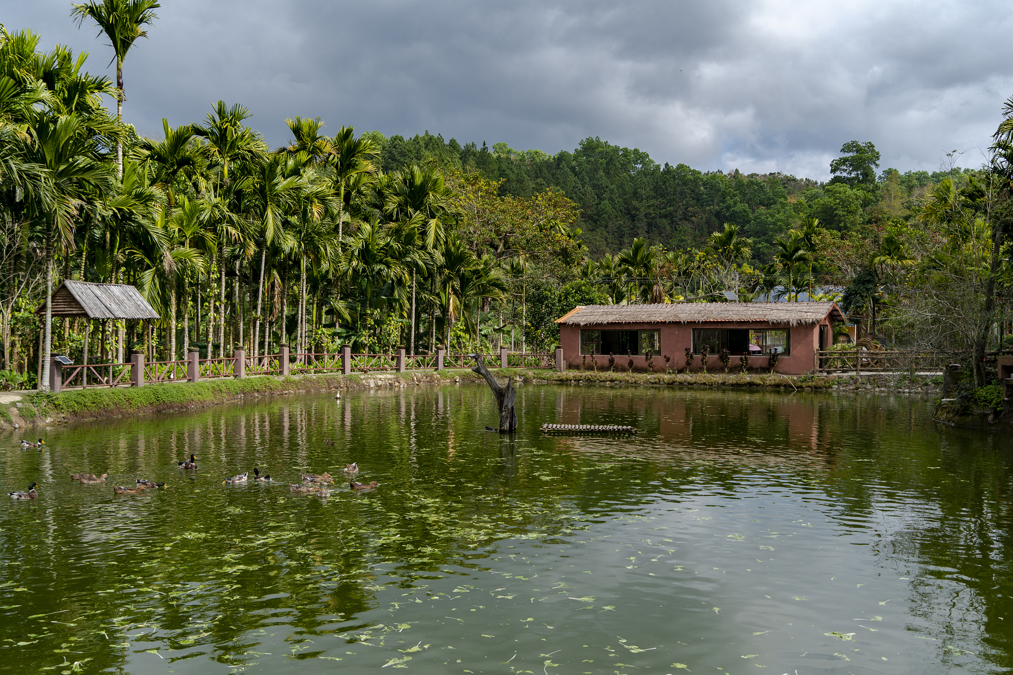 A place for tourists to relax in Maona Village, Wuzhishan City, south China's Hainan Province, January 15, 2022. /CFP