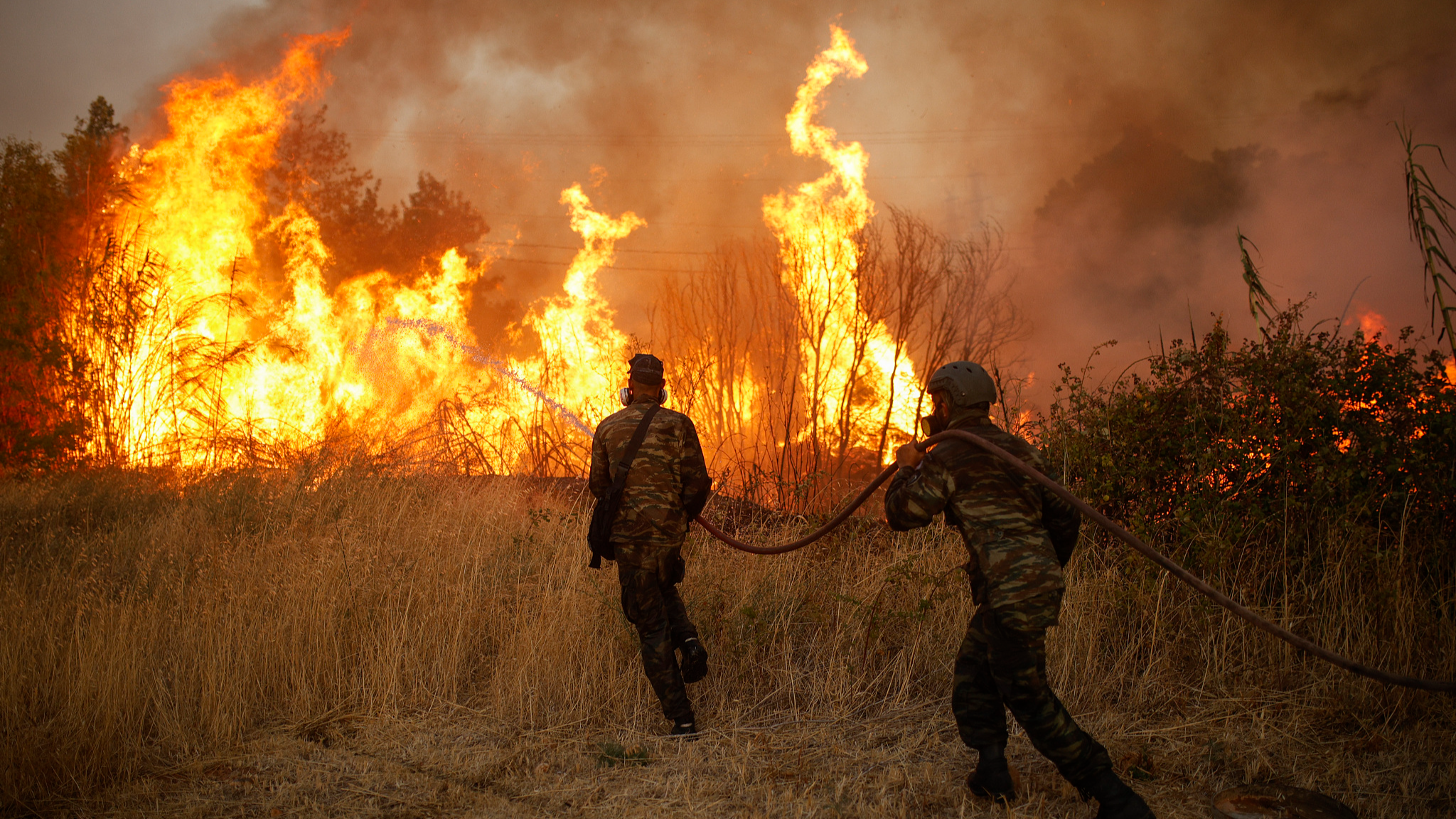 Volunteers extinguish a forest fire in Ano Patima near Penteli in the northern Athens region, Greece, August 12, 2024. /CFP