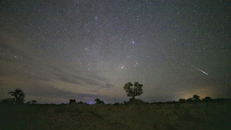 Perseid meteor shower streaks across the night sky