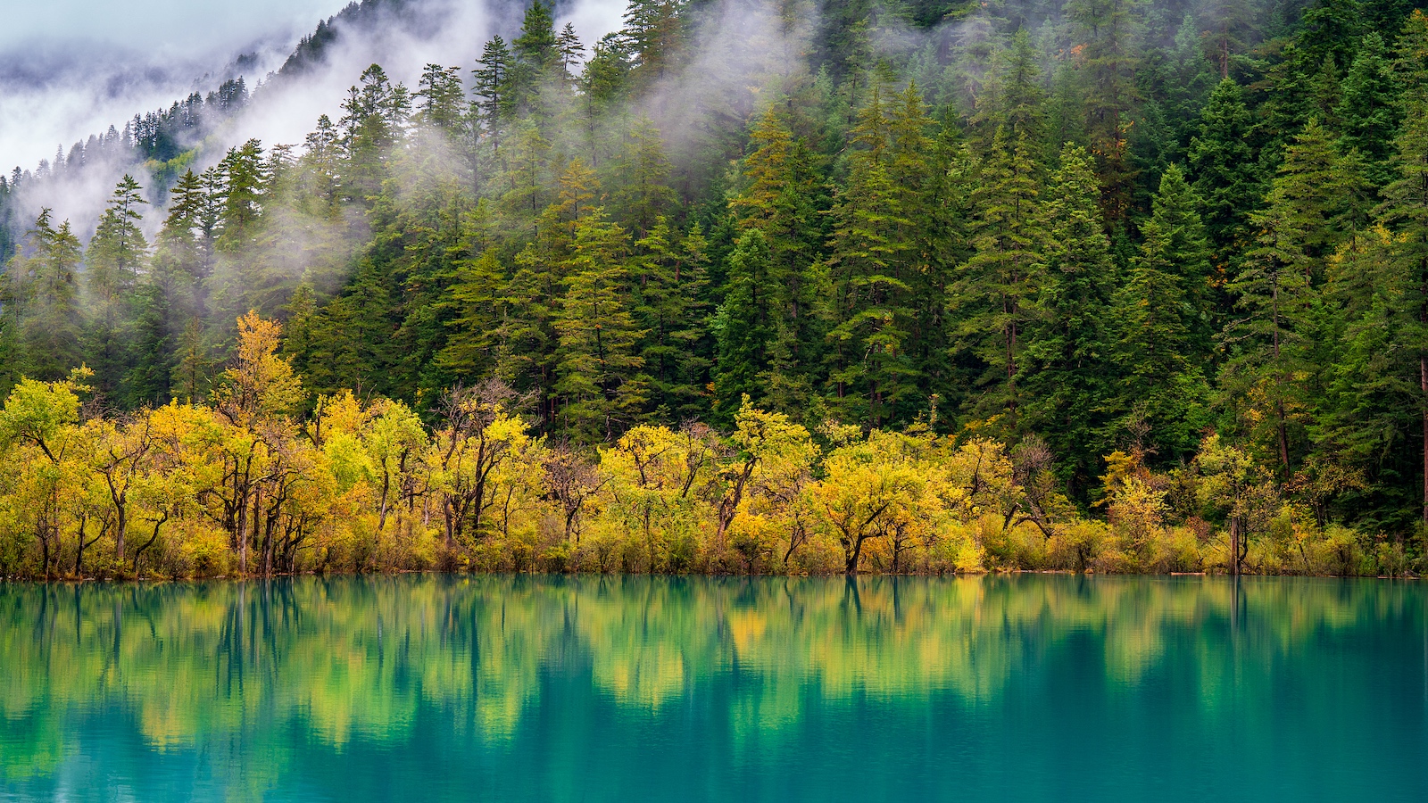 China leads world in forest, grassland carbon-sink capacity