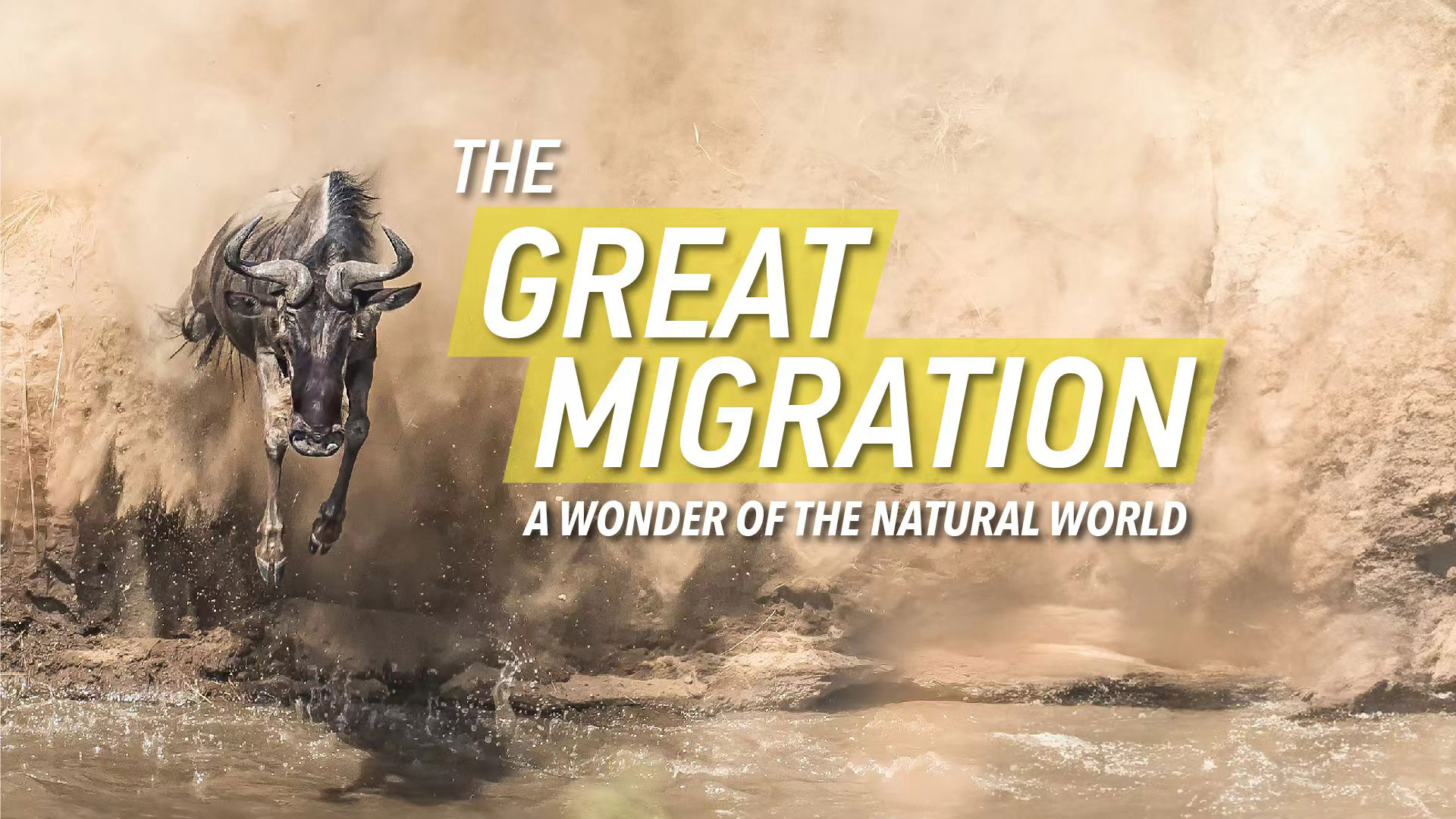 Live: The Great Migration – A Wonder of the Natural World