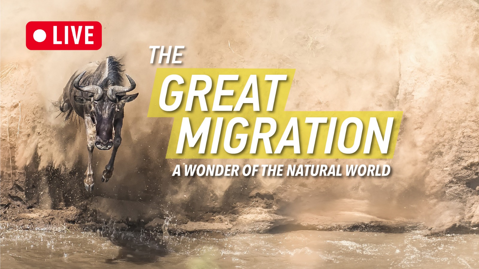 Live: The Great Migration – A Wonder of the Natural World