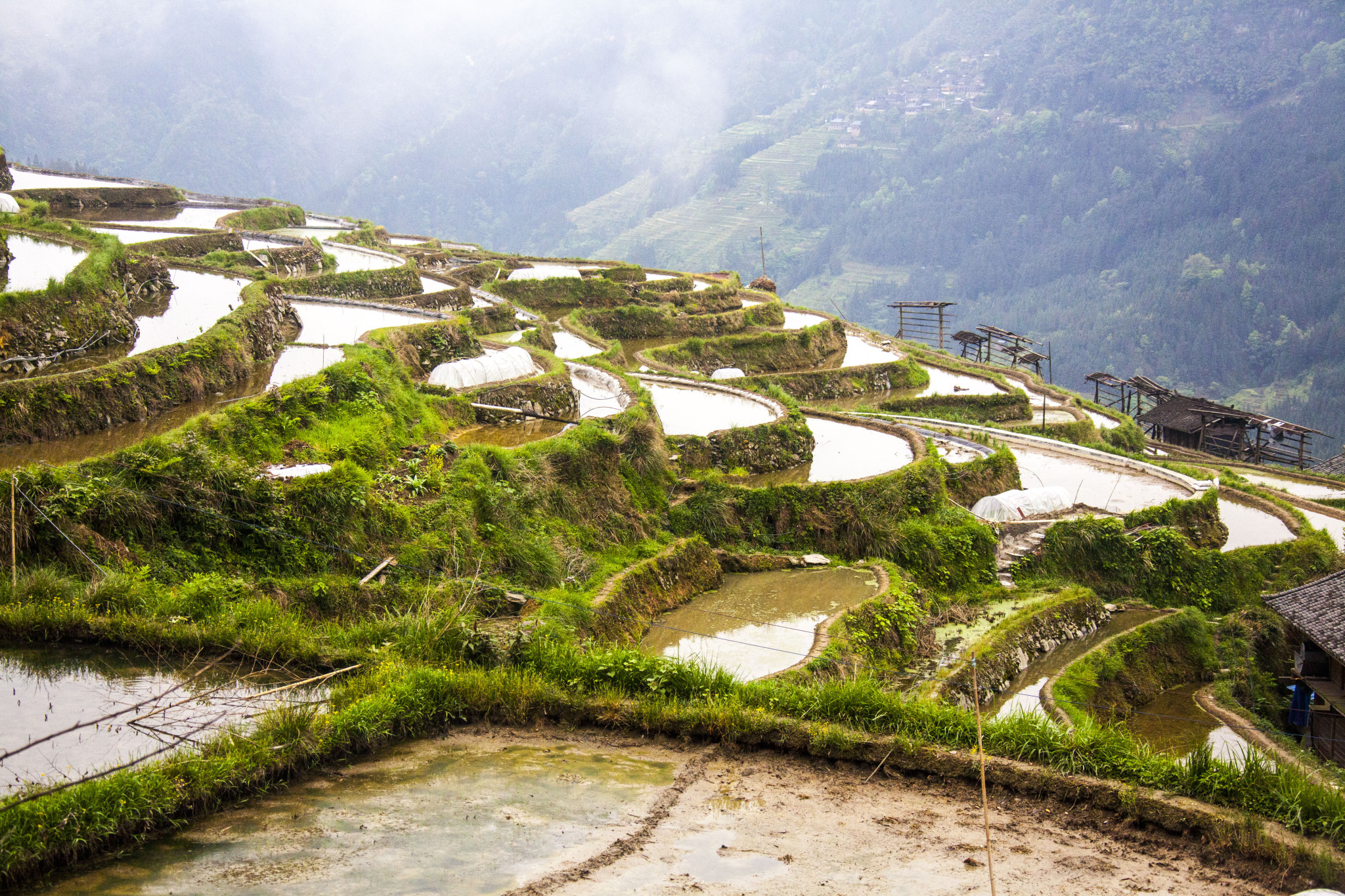 The Jiabang Rice Terraces are pictured in spring in Jiaju Village in Guizhou Province. /CFP