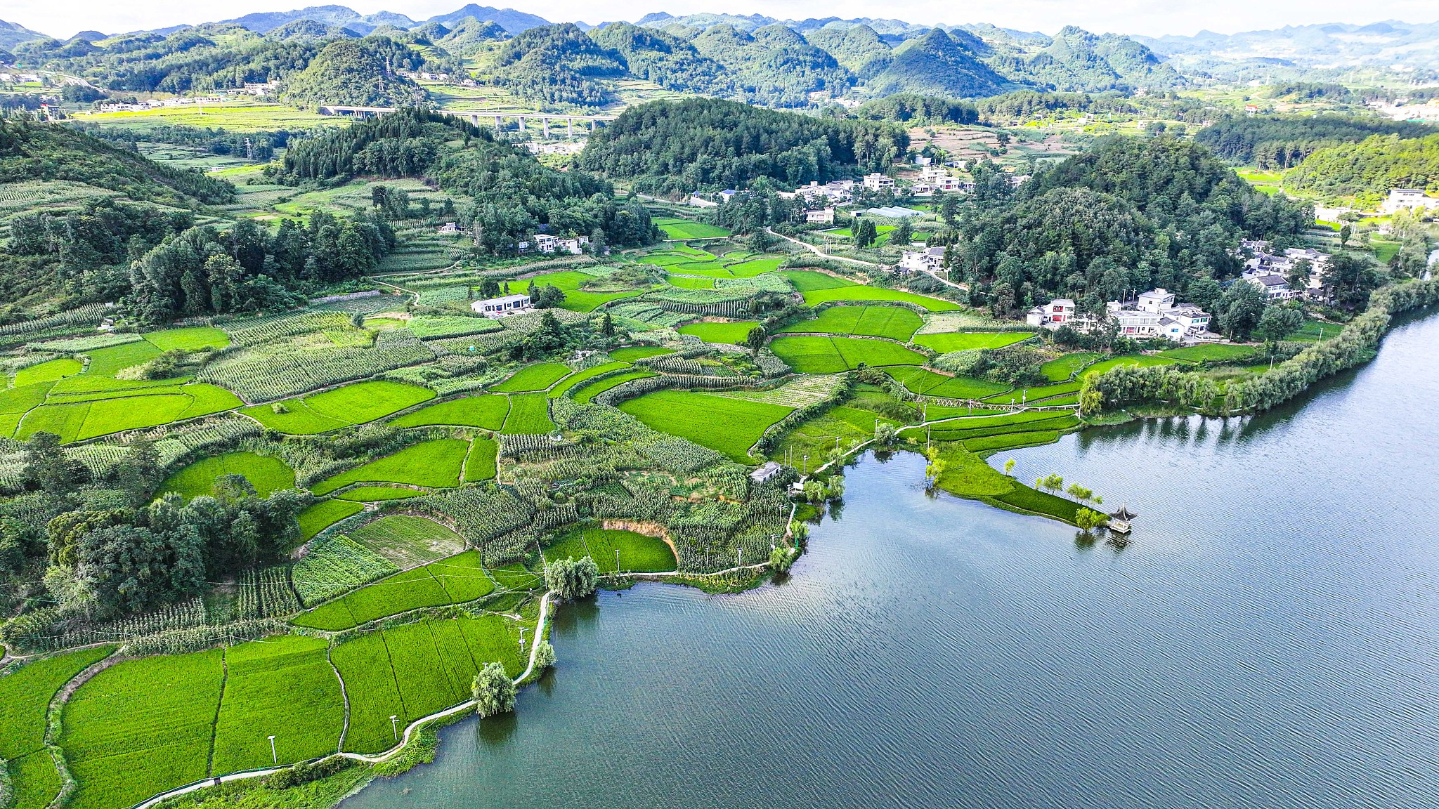 Pemandangan Desa Dahaizi di Kota Bijie, Provinsi Guizhou, Tiongkok barat daya, 19 Juli 2024. /CFP