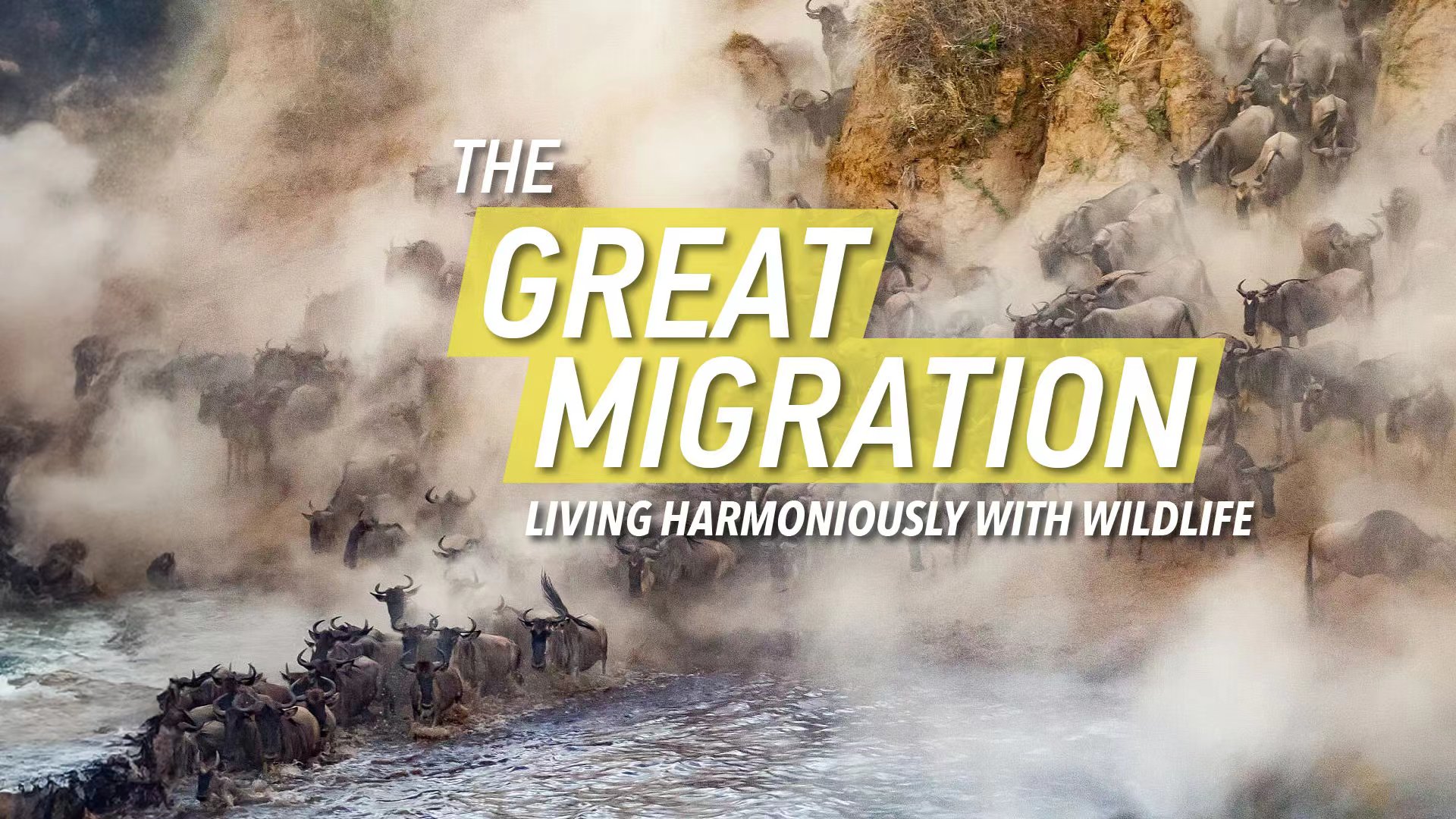 Live: The Great Migration – The path to harmony between man and nature