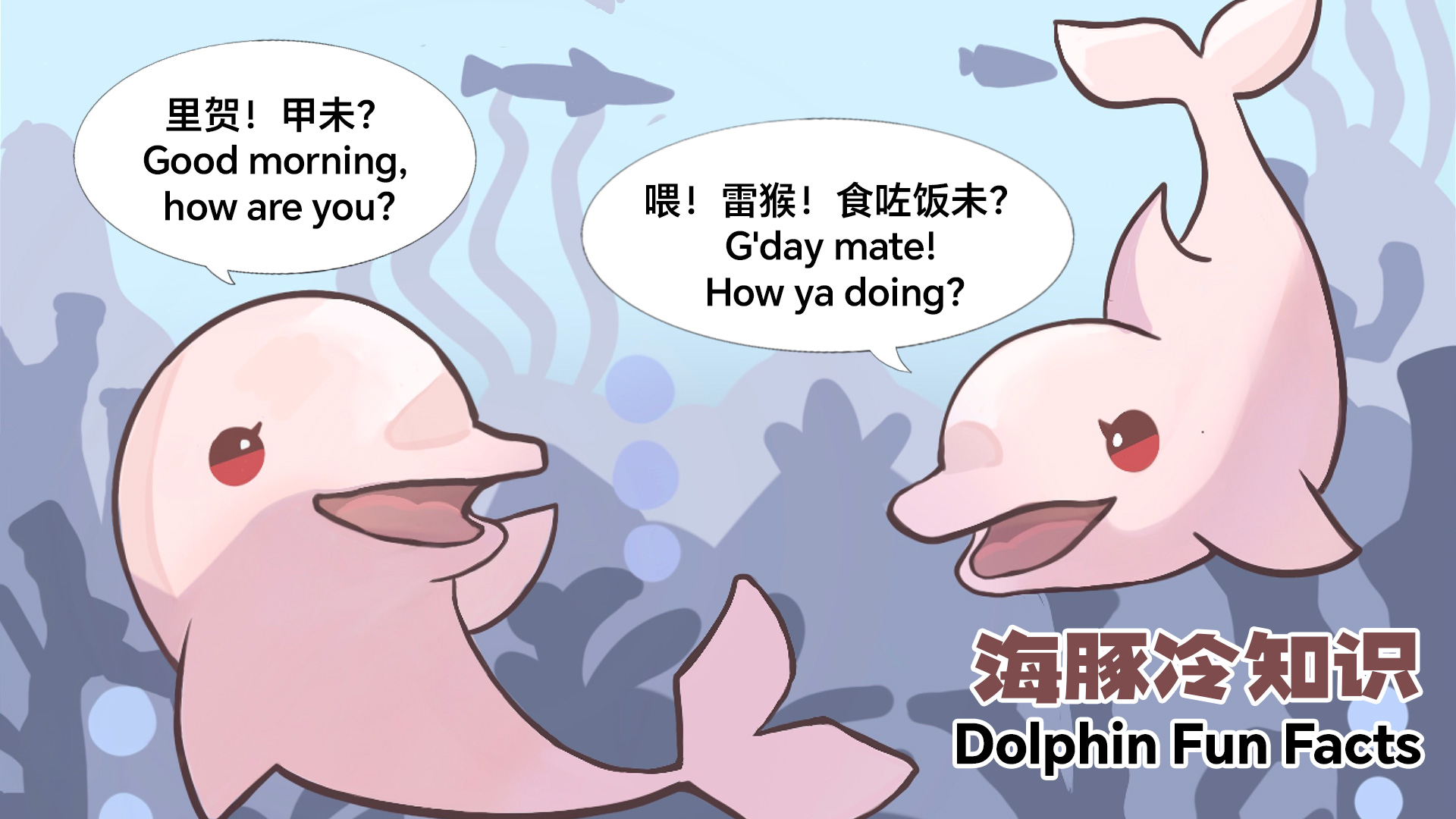 CGTN presents comics of dolphin fun facts to highlight conservation