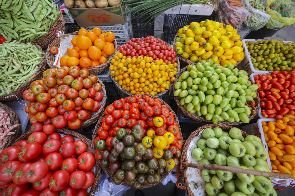 Colorful fruits are seen at a stall in a fruit market in Manzhouli, Inner Mongolia on August 15, 2024. /IC 