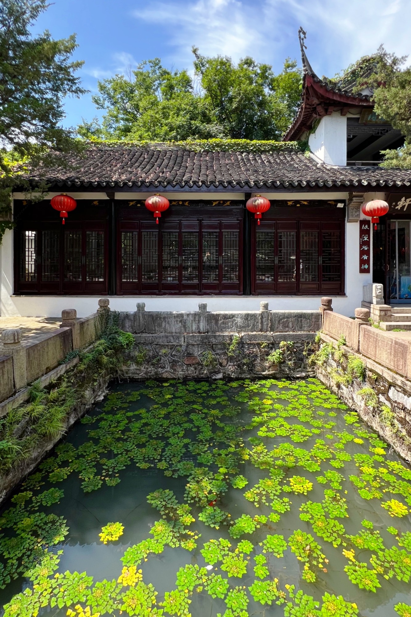 A pond adds a sense of tranquility and serenity to surrounding buildings, enhancing the overall beauty of the premises. /CGTN