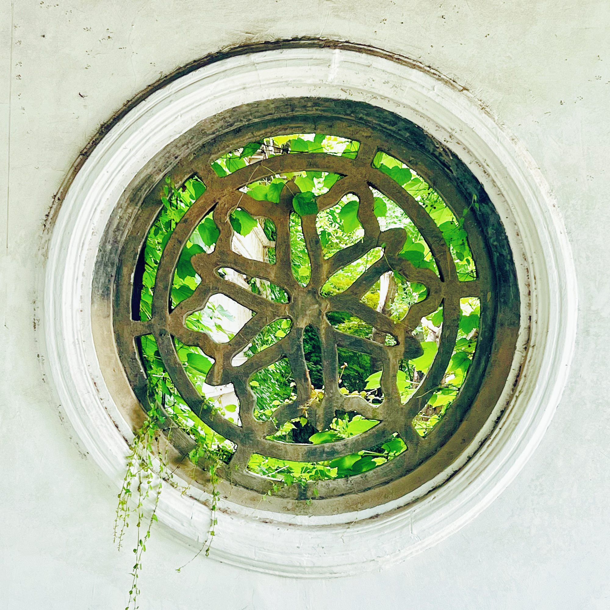 A circular opening forms a picture frame for garden scenery in Huishan Ancient Town, Wuxi City, Jiangsu Province. /CGTN