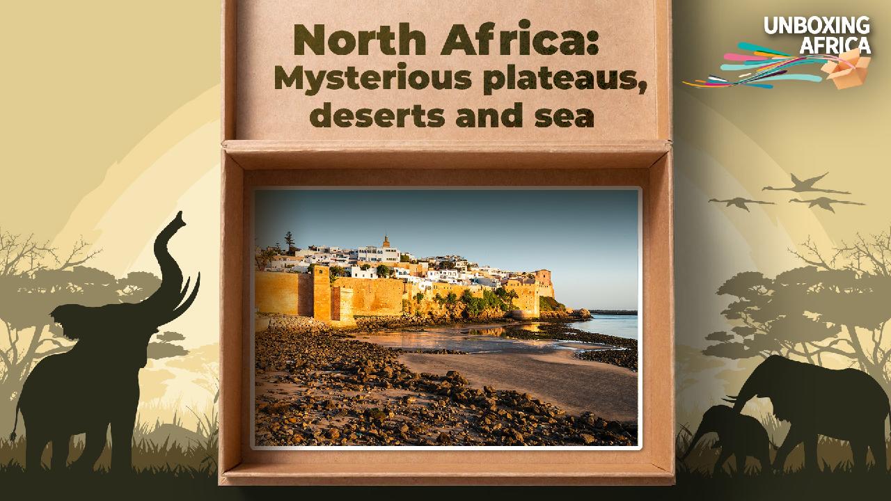 North Africa: Enigmatic Plateaus, Deserts, and Sea