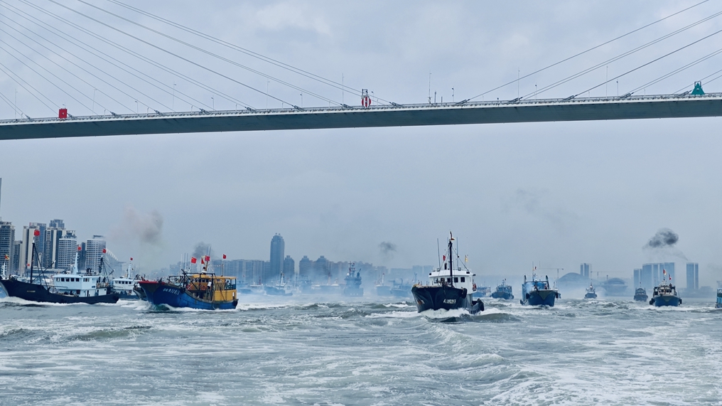 Kapal-kapal berlayar di Laut Cina Selatan setelah tiga setengah bulan moratorium penangkapan ikan musim panas, Zhanjiang, Provinsi Guangdong, Tiongkok selatan, 16 Agustus 2024. /Administrasi Keselamatan Maritim Zhanjiang