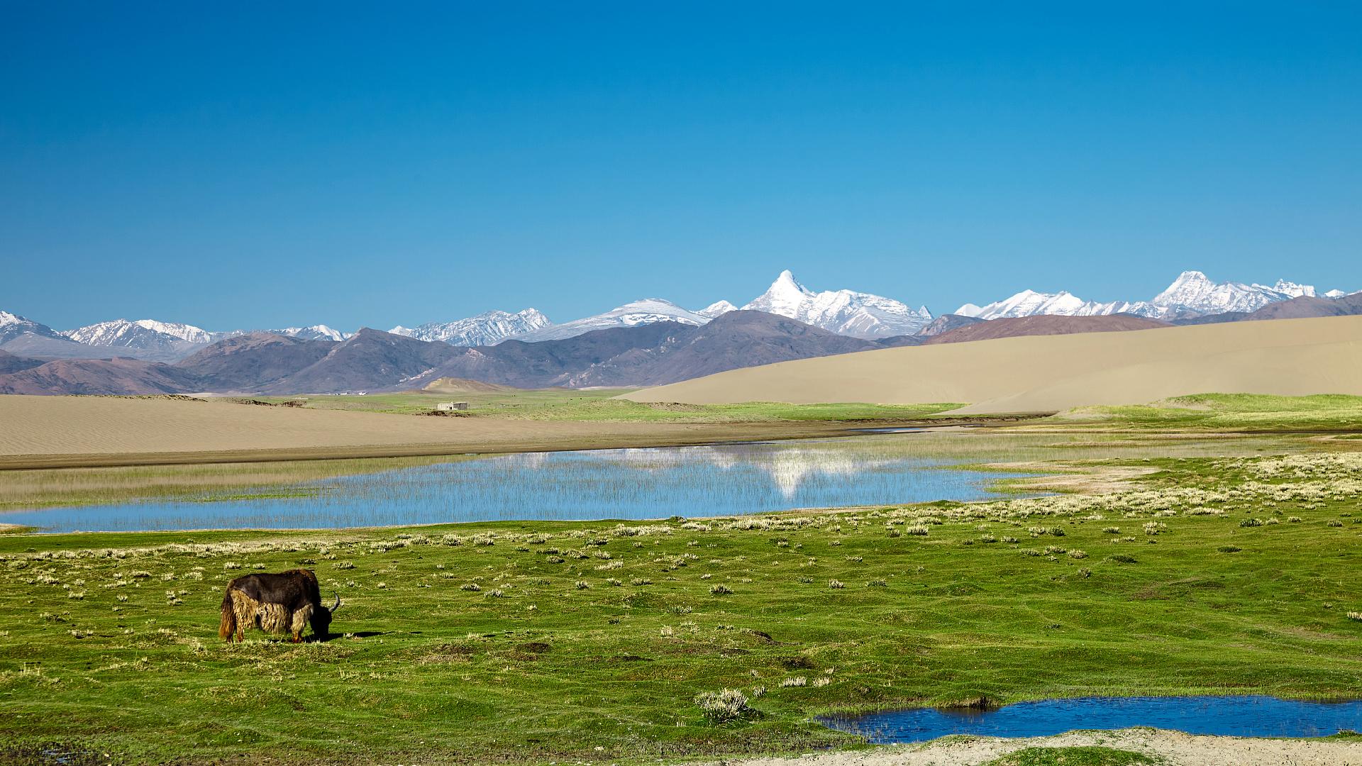 China initiates new scientific mission to Qinghai-Xizang Plateau