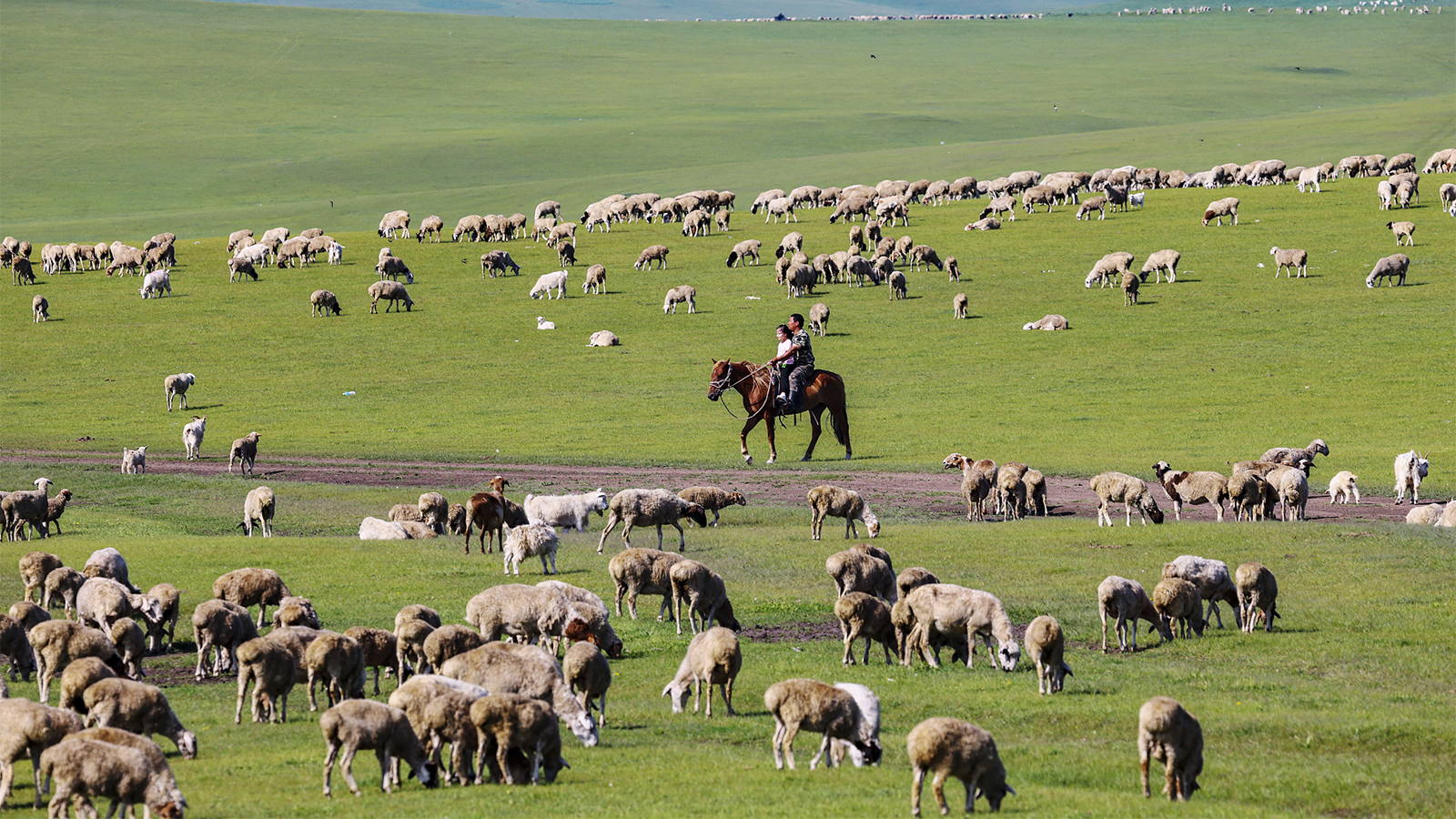 Hulun Buir Grassland: A verdant paradise in Inner Mongolia