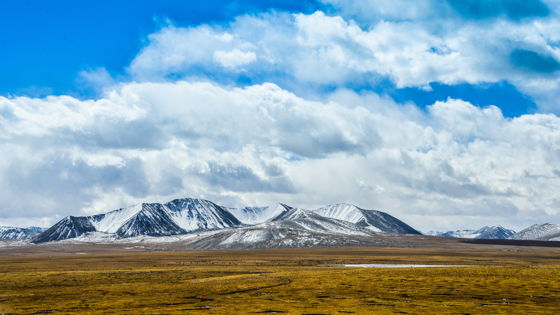 Qinghai-Tibet Plateau Experiencing Increased Warmth, Moisture, and Vegetation Growth