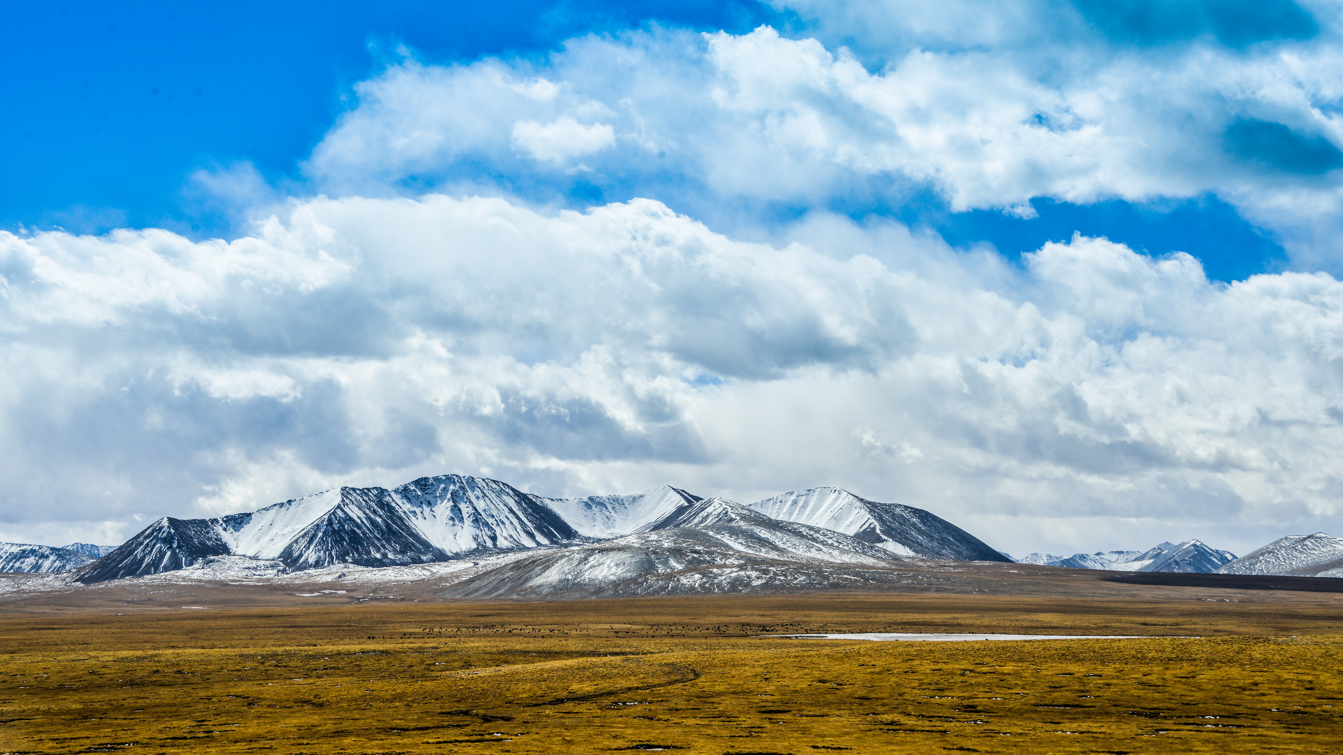 Mitika wetland in Nagqu City, southwest China's Xizang Autonomous Region, November 29, 2021. /CFP