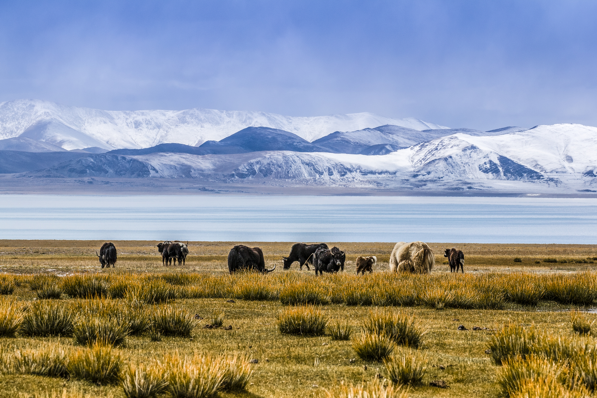 The Qinghai-Xizang Plateau. /CFP