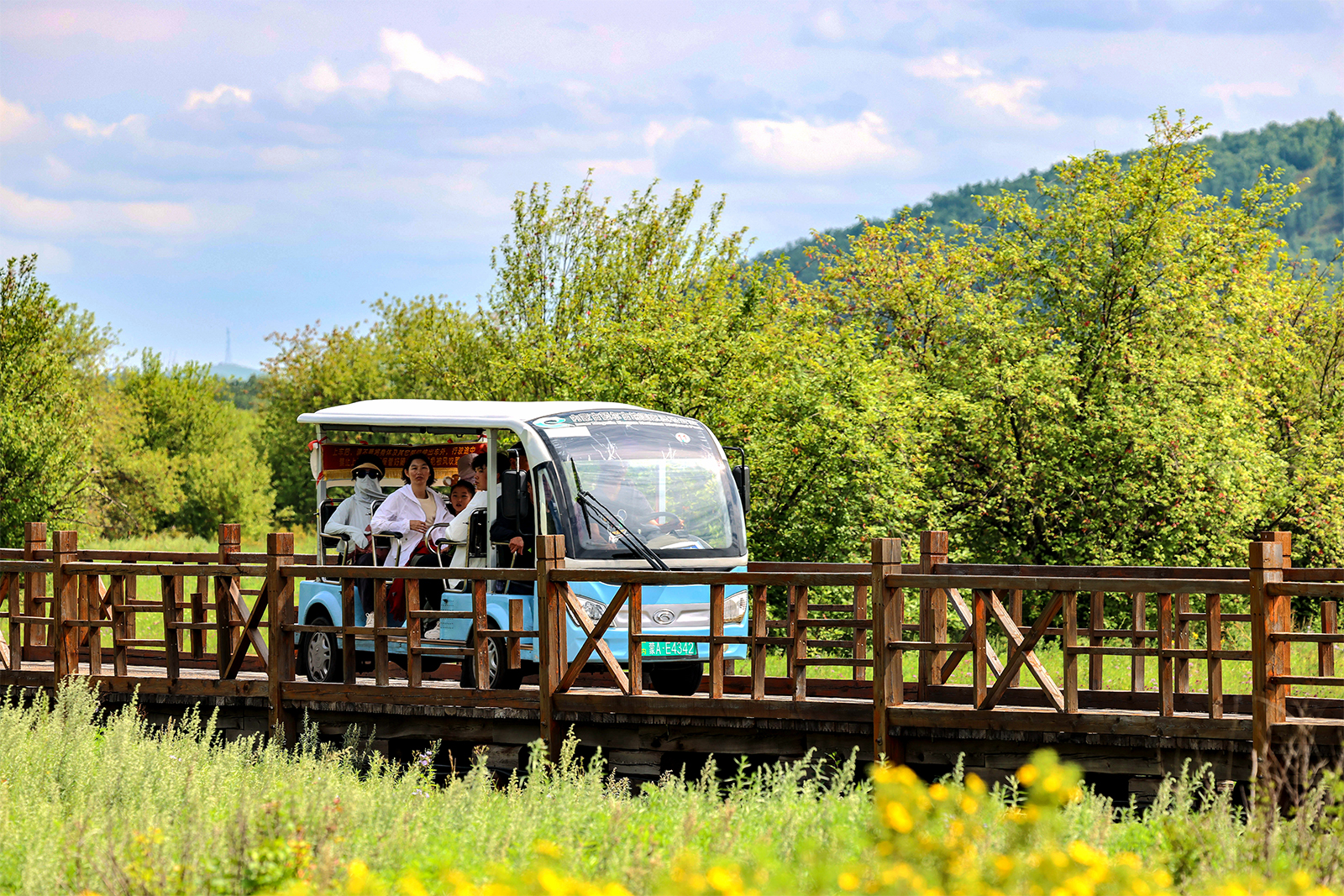 A view of the Ergun Wetland in Inner Mongolia on August 18, 2024 /IC