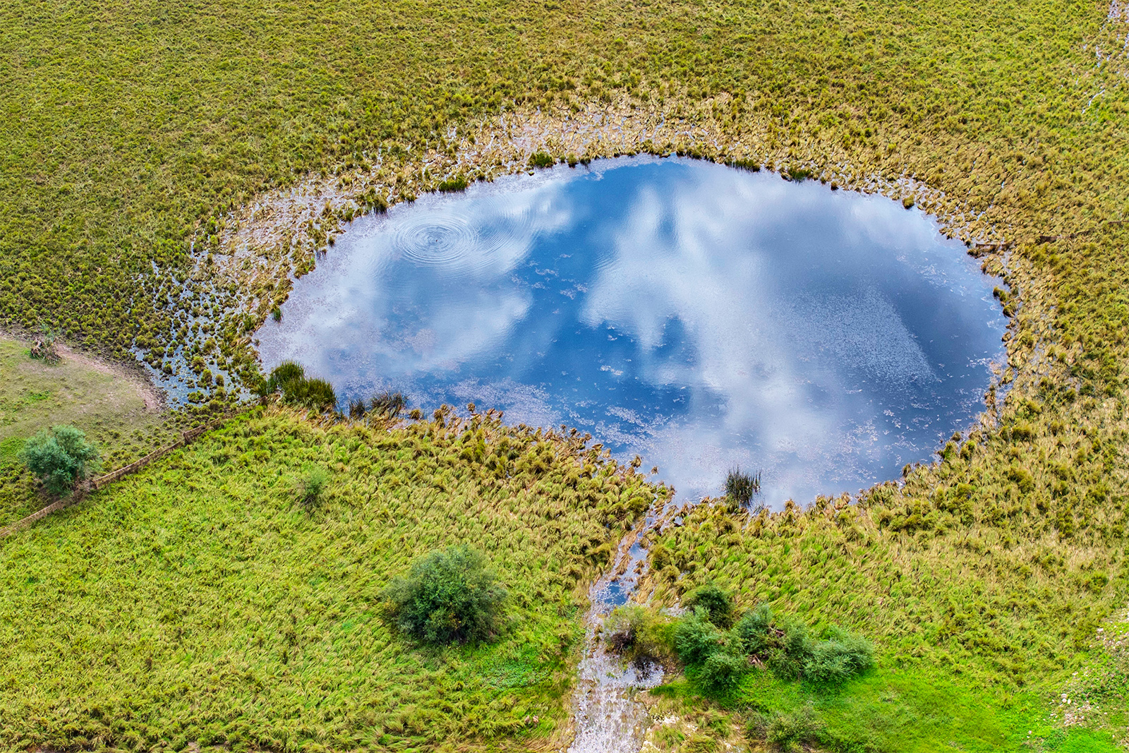 A view of the Ergun Wetland in Inner Mongolia on August 18, 2024 /IC