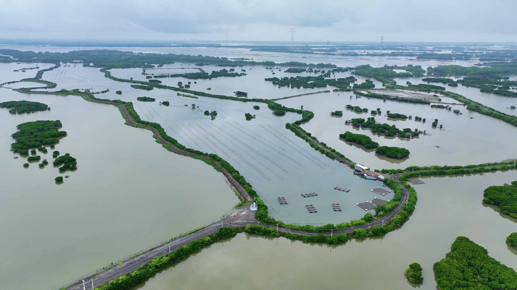 An aerial view of the mangrove forest on Jinniu Island, Zhanjiang City, south China's Guangdong Province, August 16, 2024. Huang Yi /CGTN