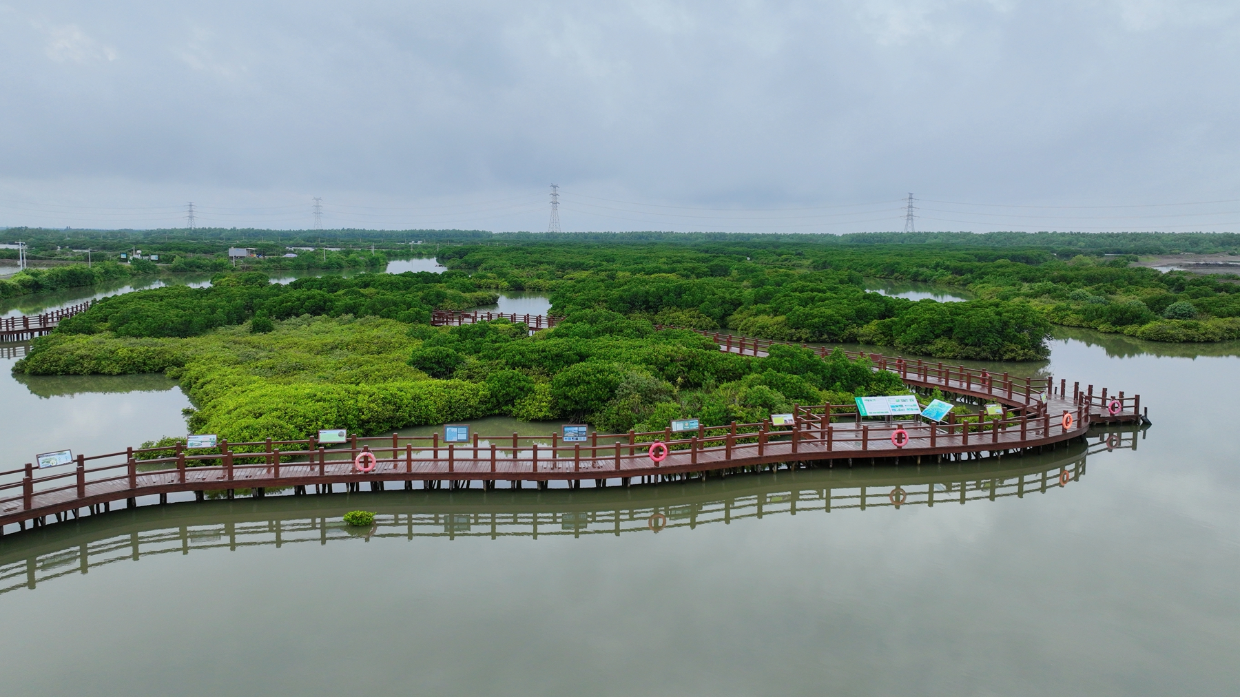 An aerial view of the mangrove forest on Jinniu Island, Zhanjiang City, south China's Guangdong Province, August 16, 2024. Huang Yi /CGTN