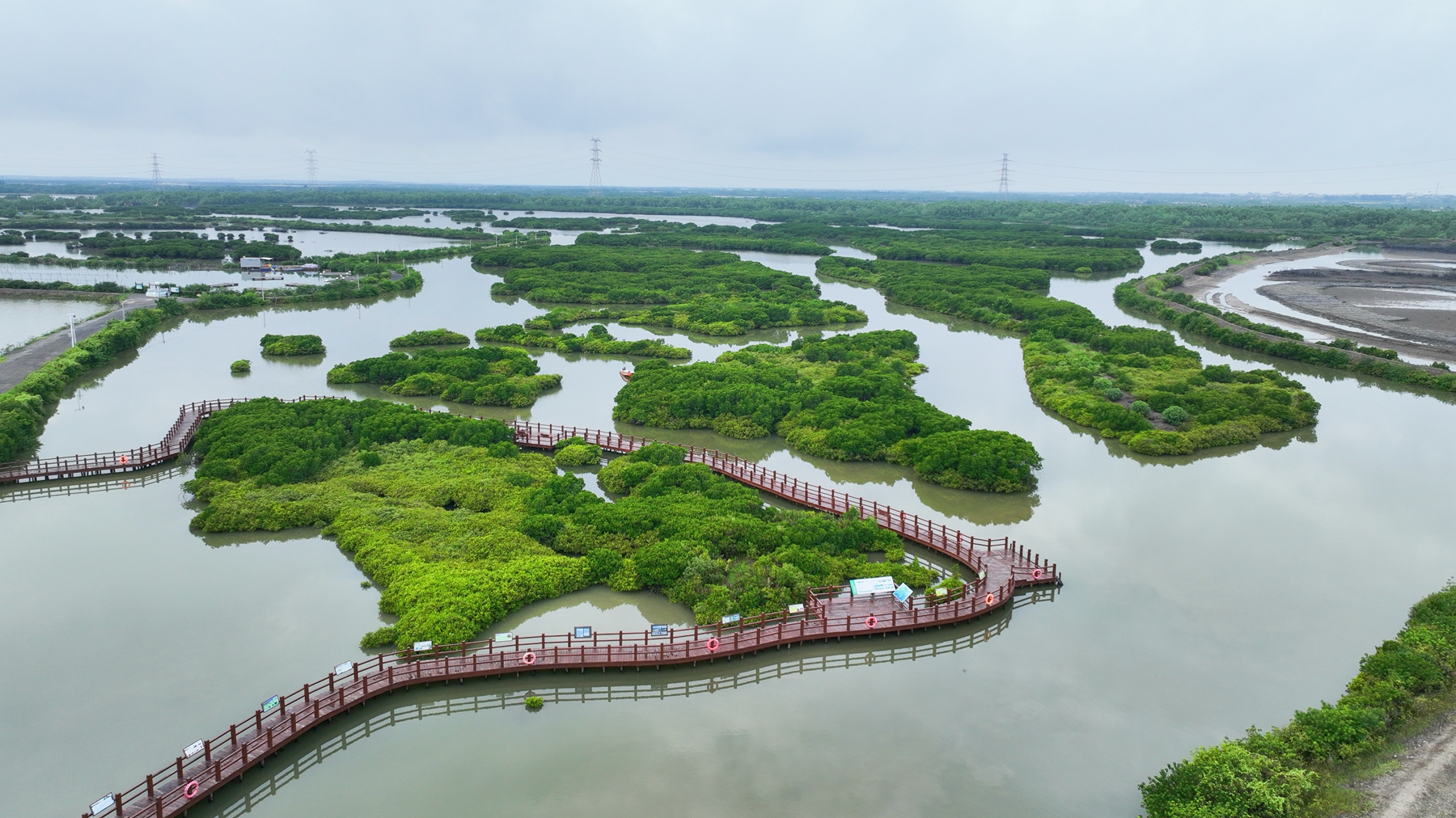 An aerial view of the mangrove forest on Jinniu Island, Zhanjiang City, south China's Guangdong Province, August 16, 2024. Huang Yi /CGTN