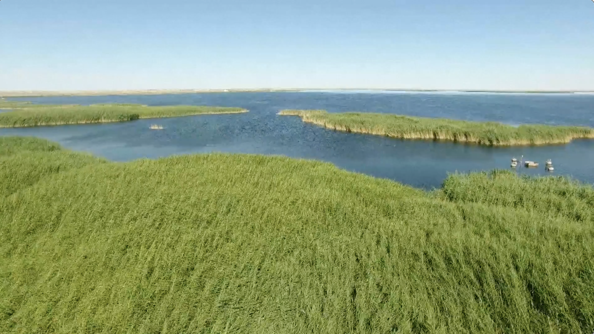 Inner Mongolia's Previously Dried-Up Lake Regains Vitality