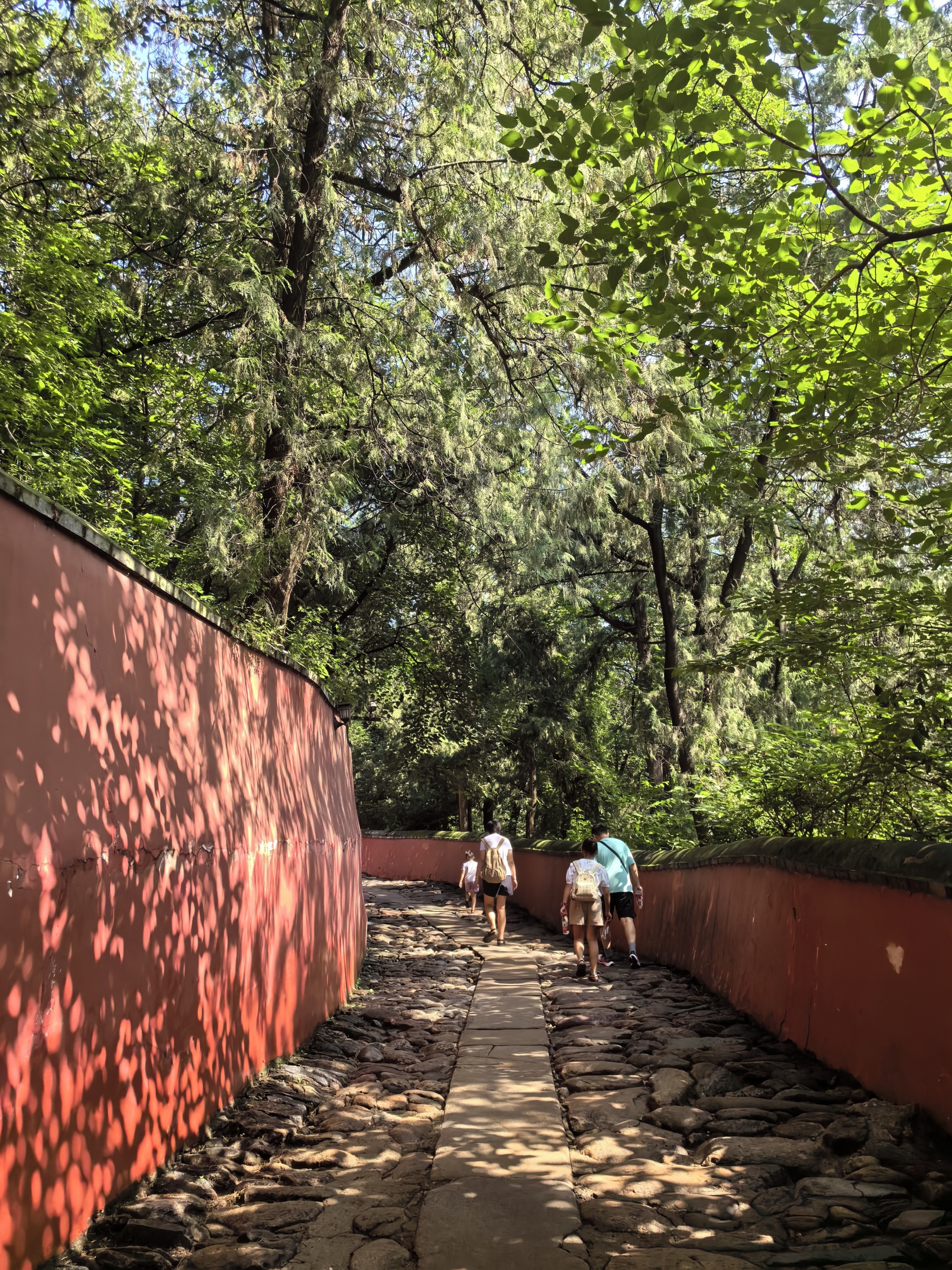 Tourists walk around the Tanzhe Temple in Beijing on August 4, 2024. /CGTN