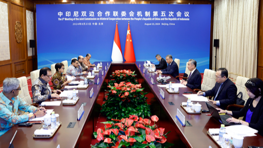 Chinese Foreign Minister Wang Yi co-chairs the 5th Meeting of the Joint Commission on Bilateral Cooperation with Indonesian Foreign Minister Retno Marsudi in Beijing. /Chinese Foreign Ministry 