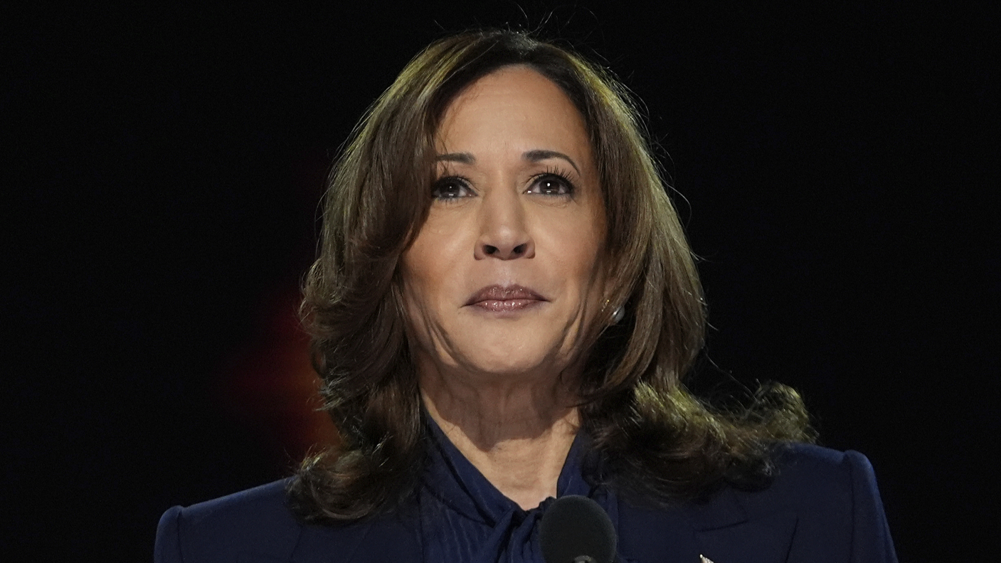 Democratic presidential nominee and U.S. Vice President Kamala Harris speaks during the Democratic National Convention in Chicago, Illinois, U.S., August 22, 2024. /CFP