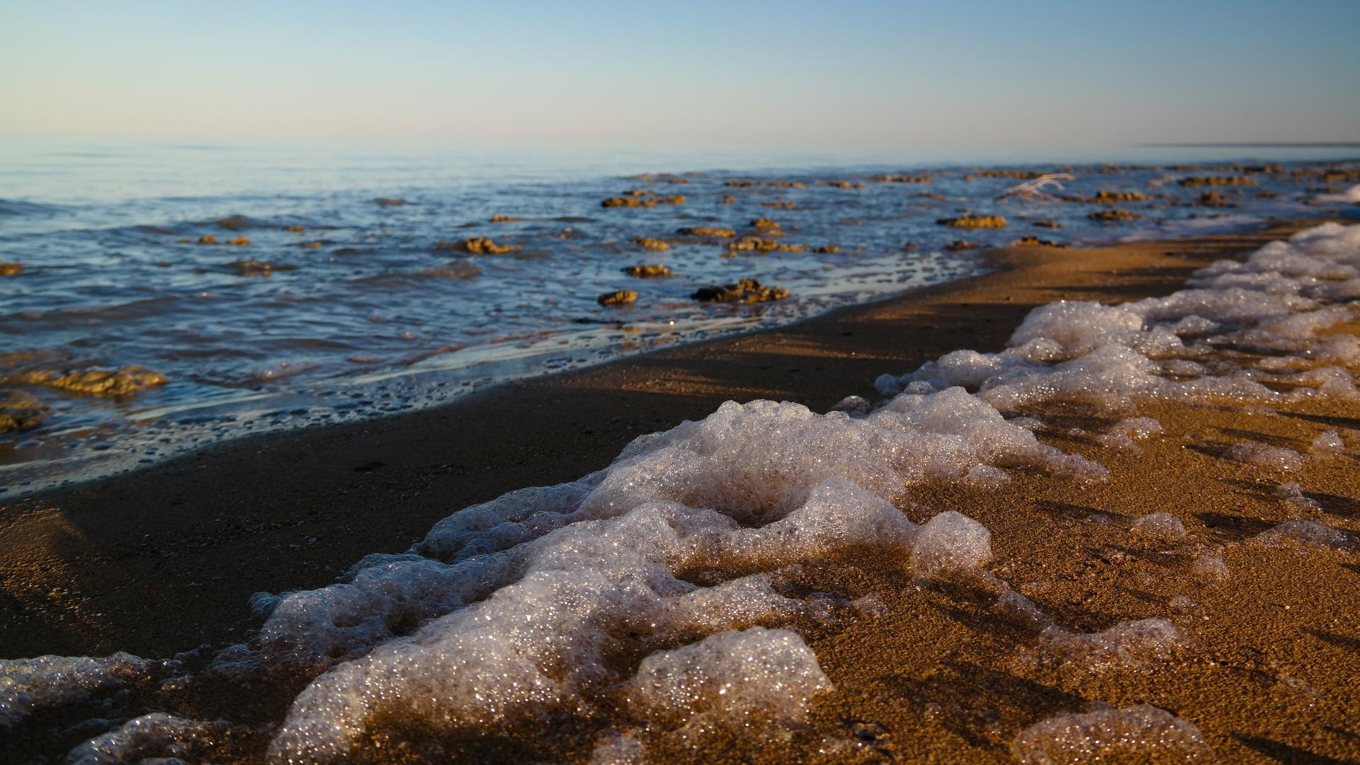 Scientific joint expedition examining the ecology of the Aral Sea begins in Tashkent