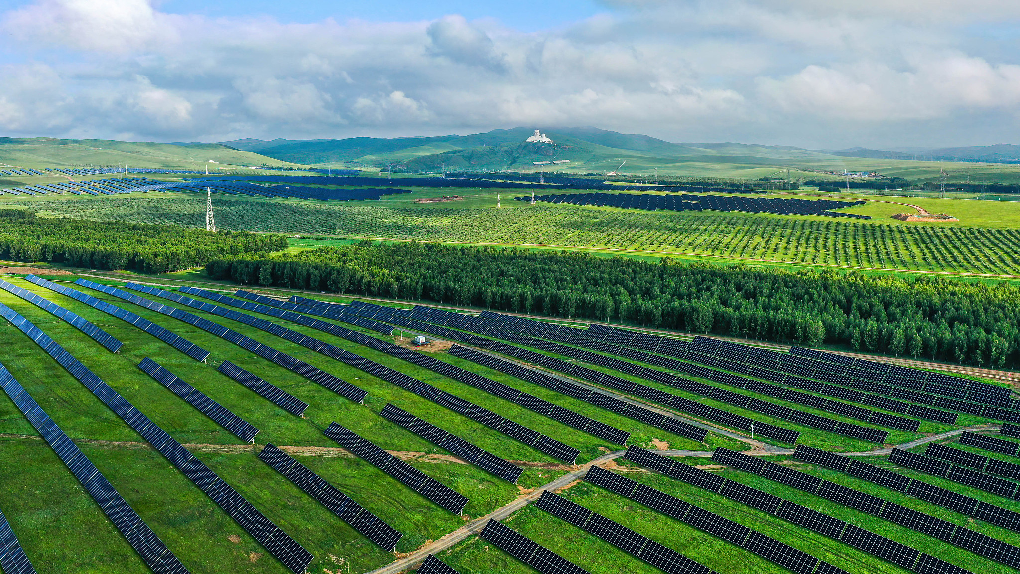 A 100-megawatt photovoltaic project in Tongliao City, north China's Inner Mongolia Autonomous Region, July 24, 2024. /CFP