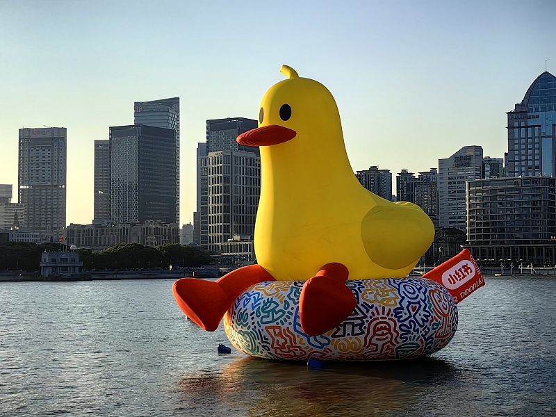 A giant inflatable rubber duck appears on the Huangpu River in Shanghai, August 24, 2024. /CFP