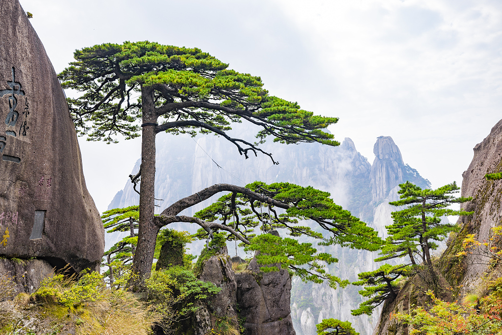 A view of Huangshan Mountain in east China's Anhui Province. /CFP