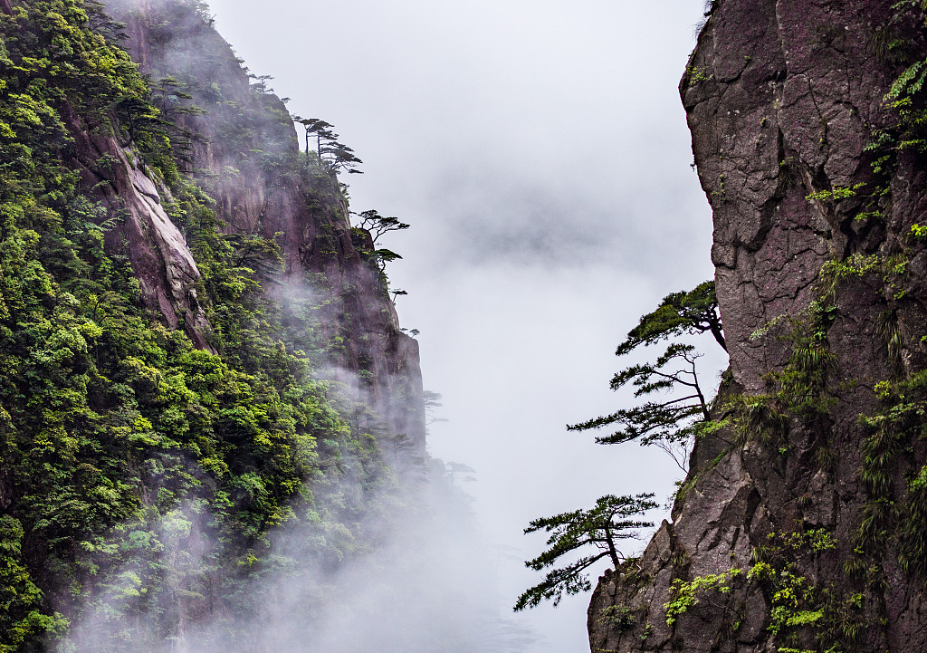 A view of Huangshan Mountain in east China's Anhui Province. /CFP