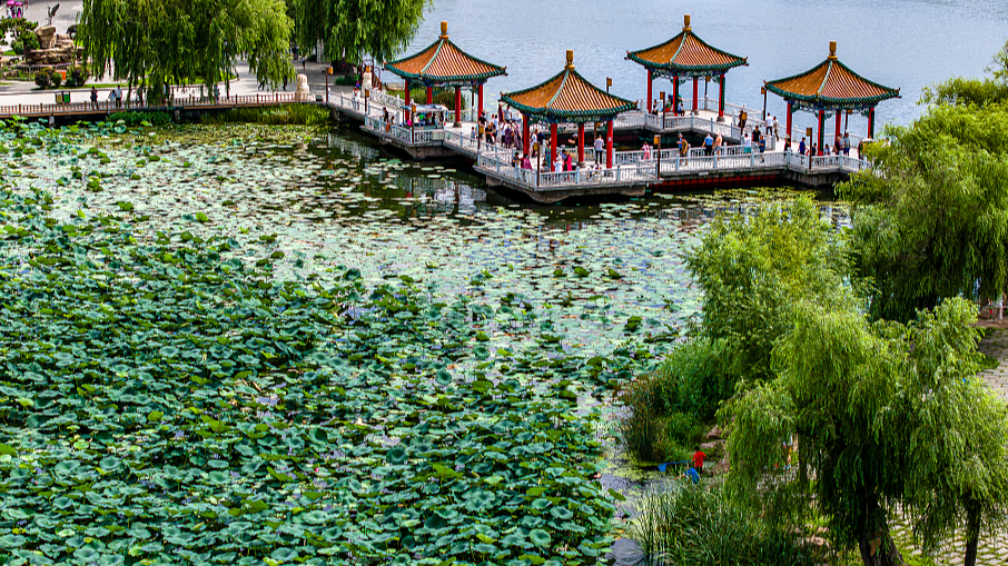 Live: Nanhu Lake Park – A natural oasis in the heart of Changchun