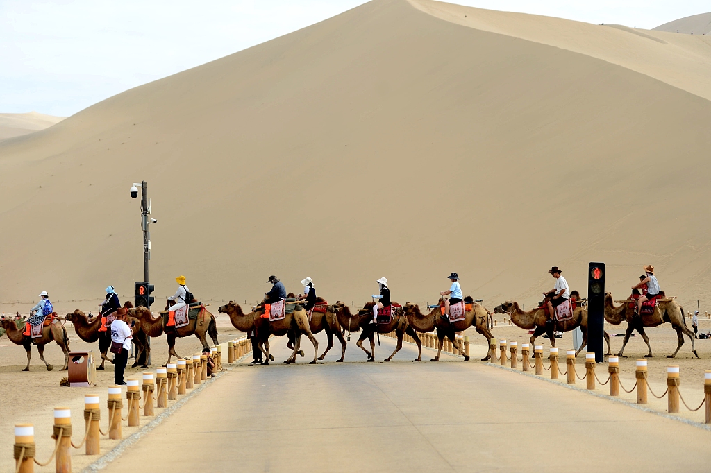 A photo taken on August 23, 2024 shows camels crossing a road when the camel traffic light turns green at the Mingsha Mountain and Crescent Spring scenic spot in Dunhuang, Gansu Province. /CFP