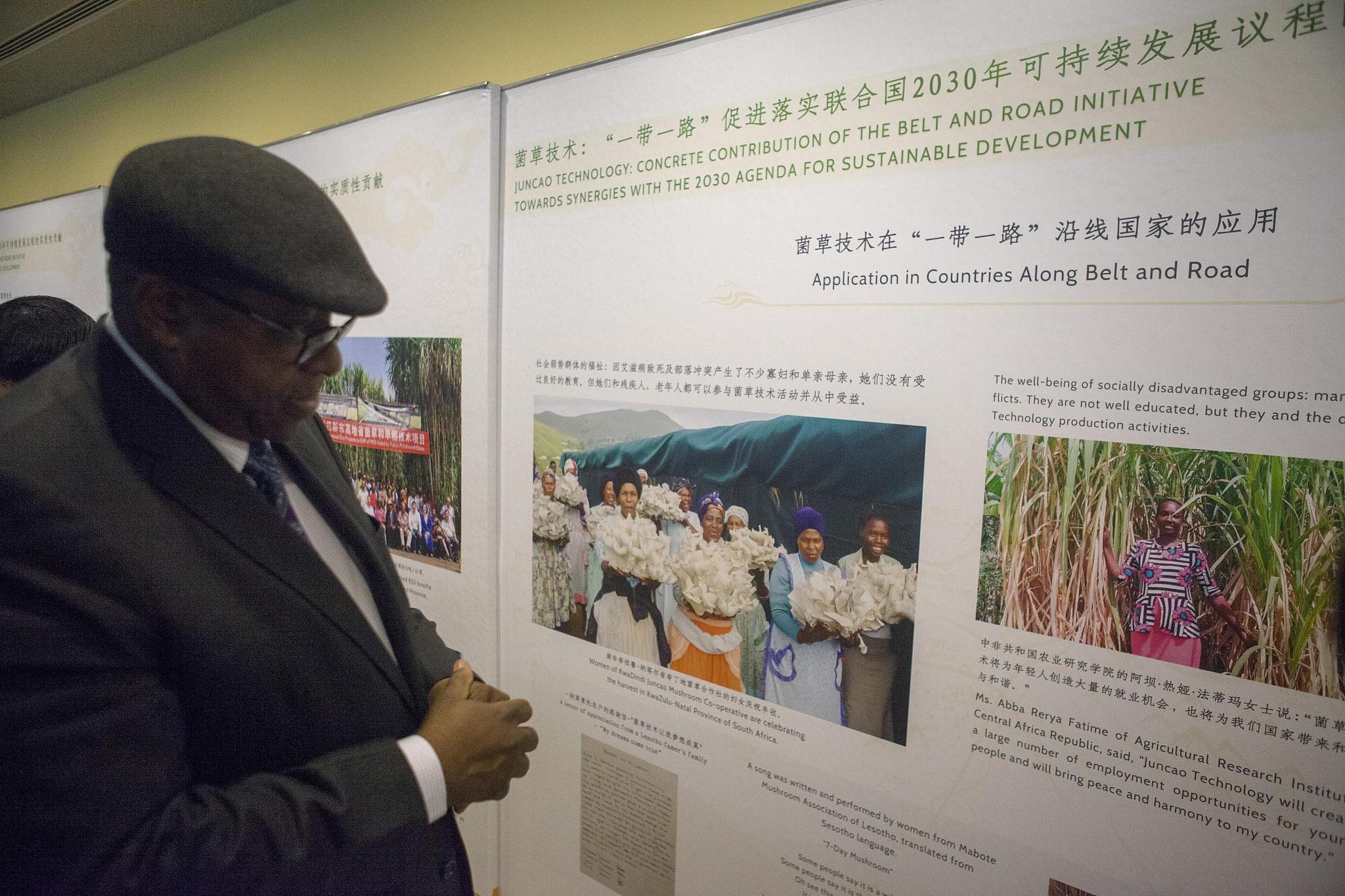 China-Africa agricultural cooperation sprouts green hopes