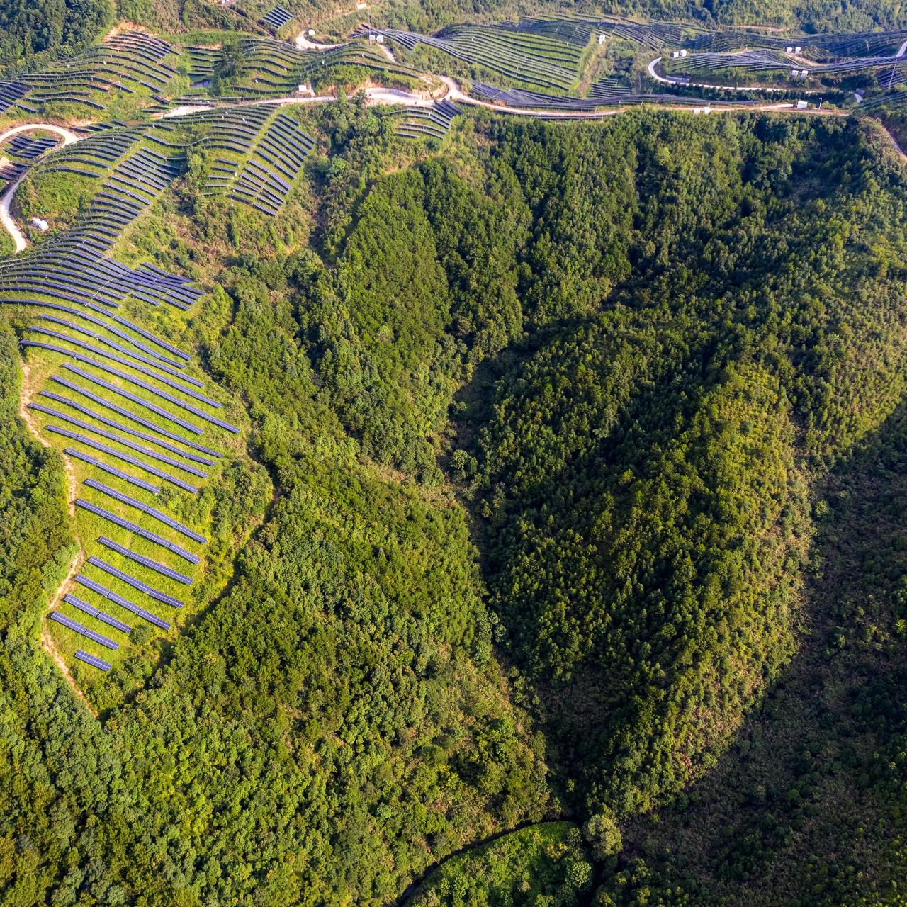 China becomes world's largest investor in energy transition