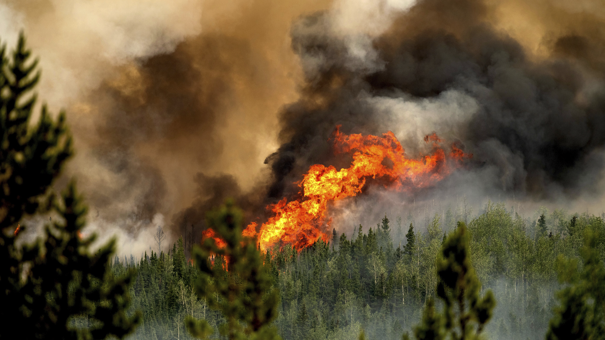 Flames from the Donnie Creek wildfire burn along a ridge top north of Fort St. John, British Columbia, Canada, July 2, 2023. /CFP