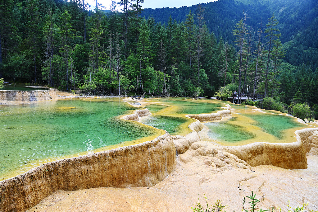 An undated photo shows a scenic spot in Jiuzhaigou Valley Scenic and Historic Interest Area, Sichuan Province. /CFP