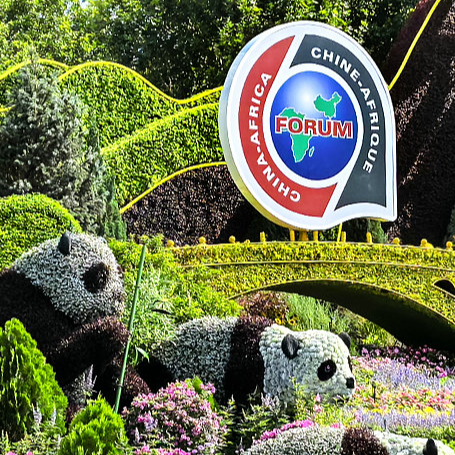 China, Africa set to embrace closer economic, trade ties at FOCAC