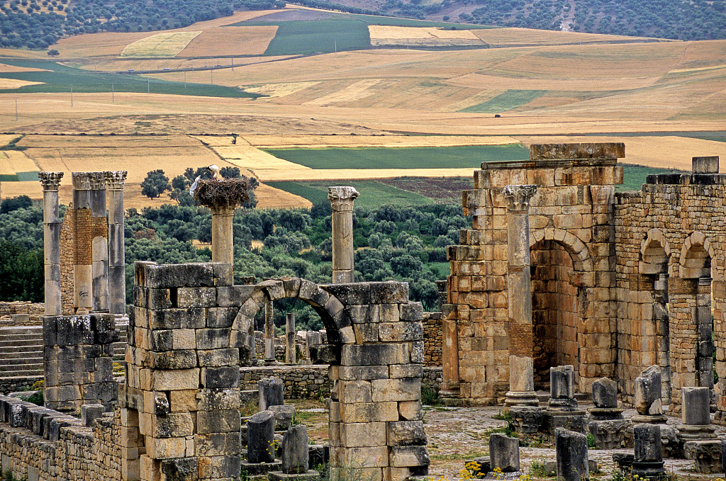 An undated photo shows a view of Volubilis, an ancient Roman city in Morocco. /CFP