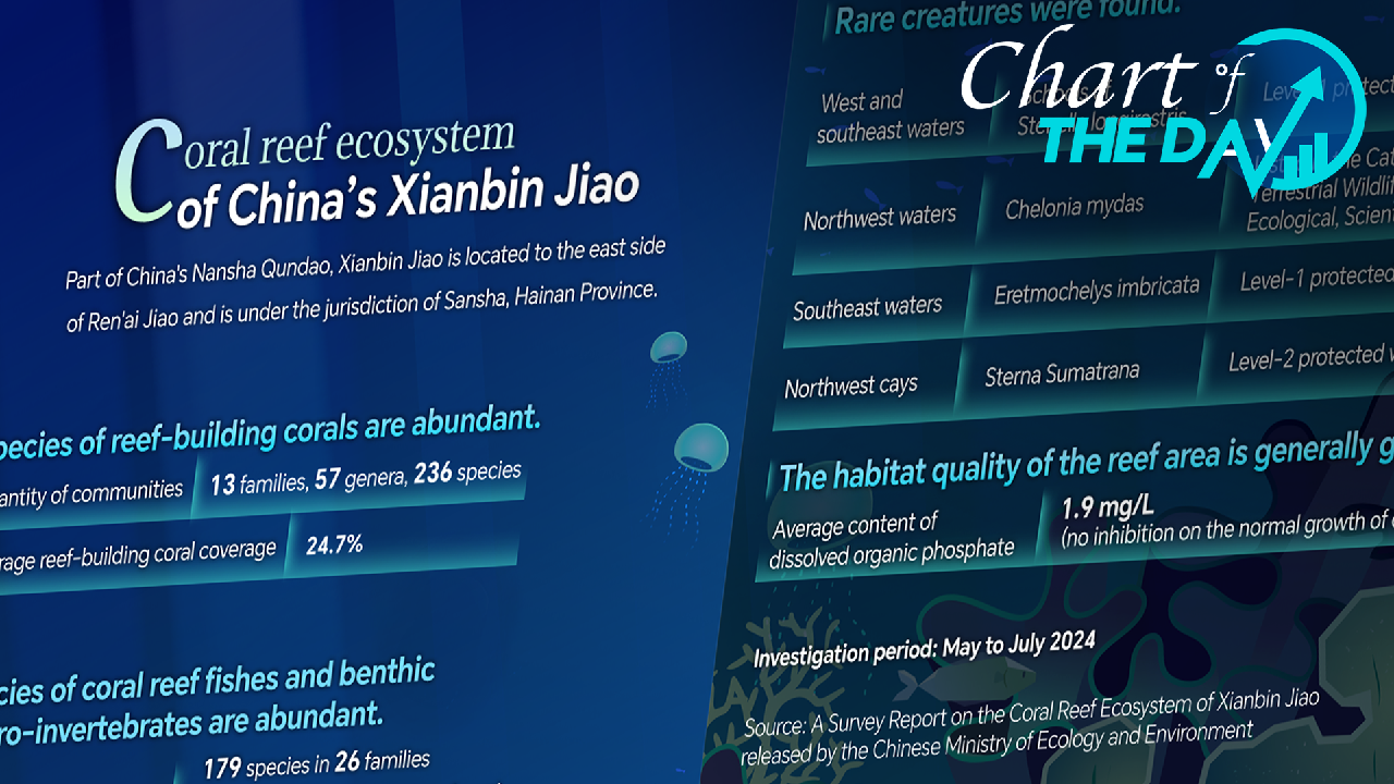 Graphics Showcase: Vibrant Coral Reef Ecosystem at Xianbin Jiao